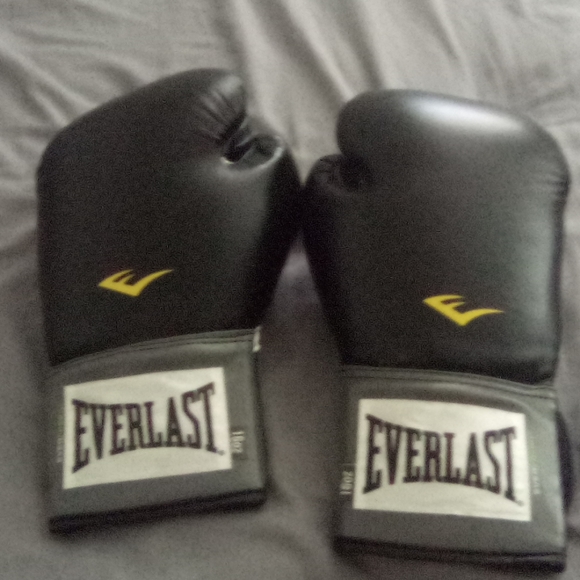 Everlast boxing gloves